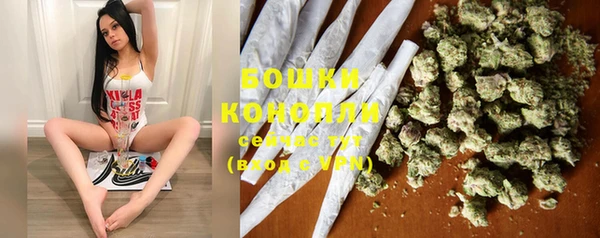 ПСИЛОЦИБИНОВЫЕ ГРИБЫ Балахна