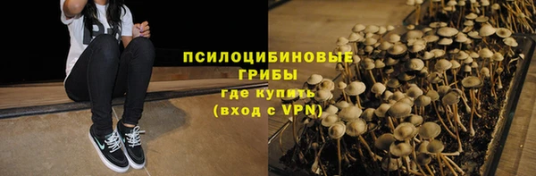 гашик Покровск